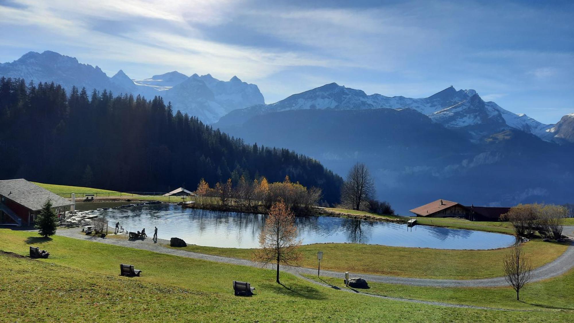 Chalet Blatti Hasliberg Cameră foto